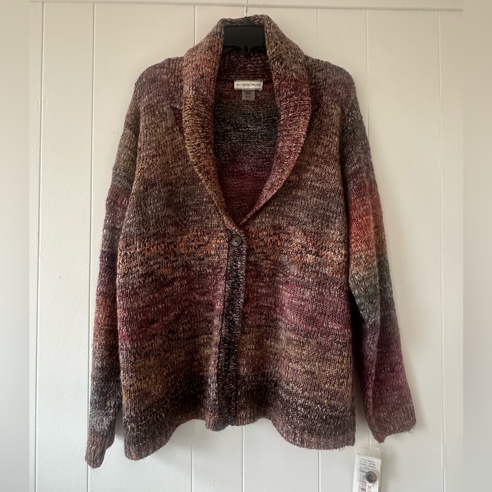 Allison Daley Chunky Knit Cardigan Sweater XL